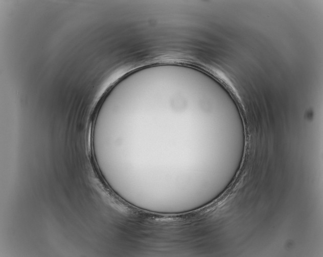 X0000090881227200707271009