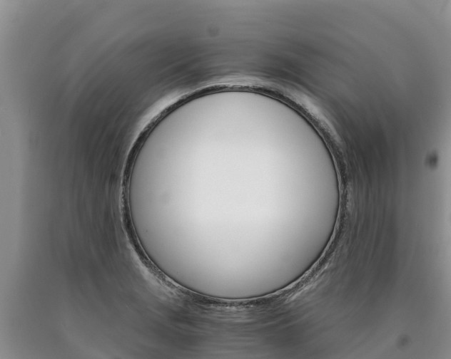 X0000090881229200707271009