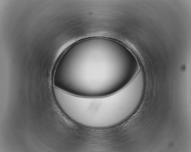 X0000090881230200707271009