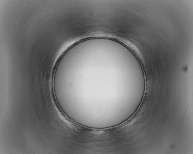 X0000090881231200707271009