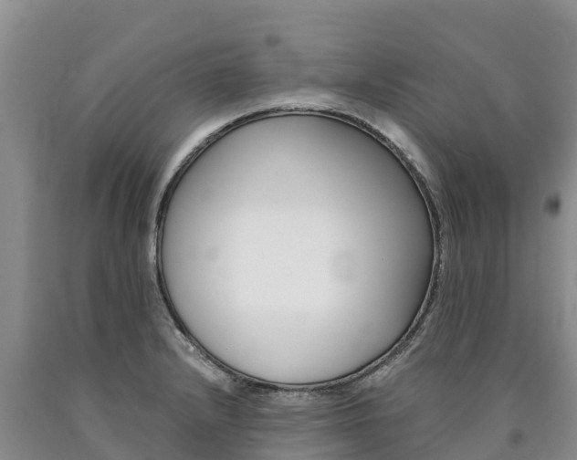 X0000090881232200707271009