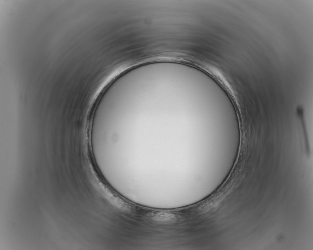 X0000090881235200707271009