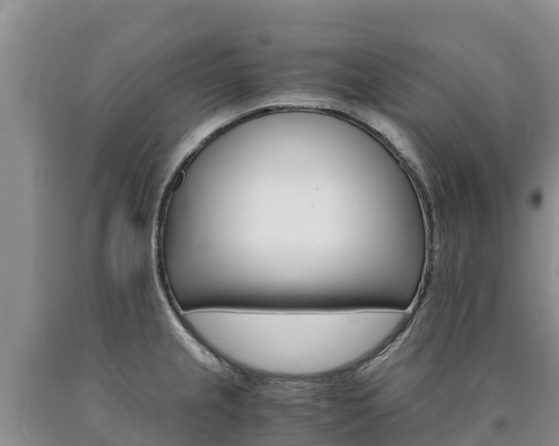 X0000090881237200707271009