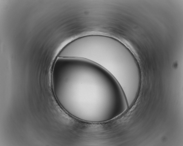 X0000090881238200707271009