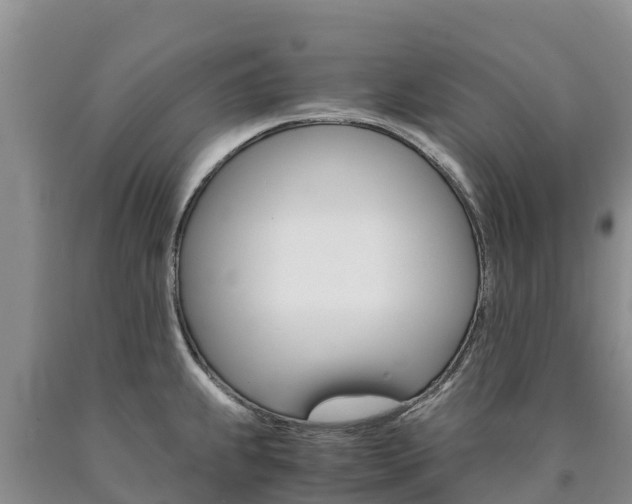 X0000090881239200707271009