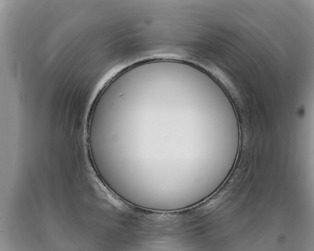 X0000090881240200707271009