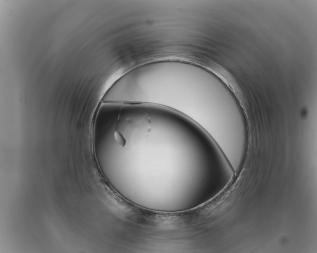 X0000090881242200707271009