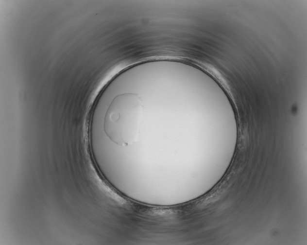 X0000090881243200707271009