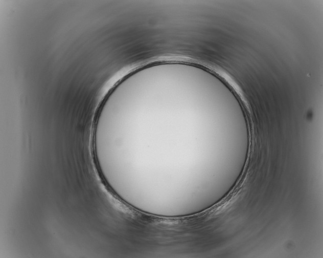 X0000090881245200707271009