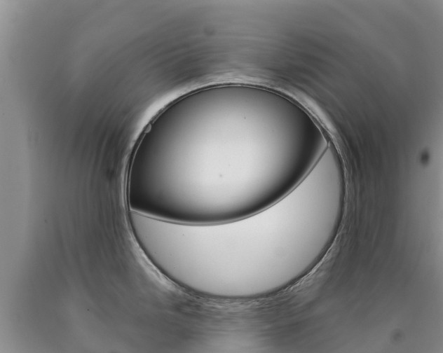 X0000090881246200707271009