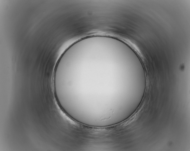 X0000090881247200707271009