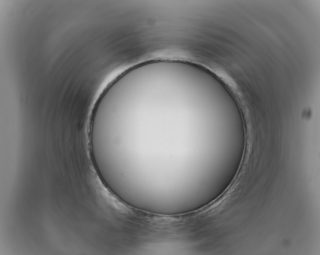 X0000090881248200707271009