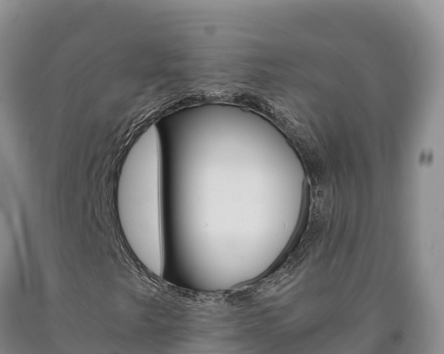 X0000090881249200707271008