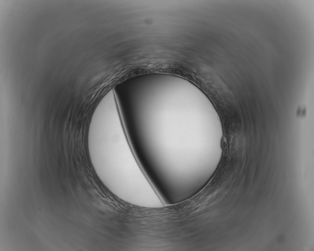 X0000090881250200707271008