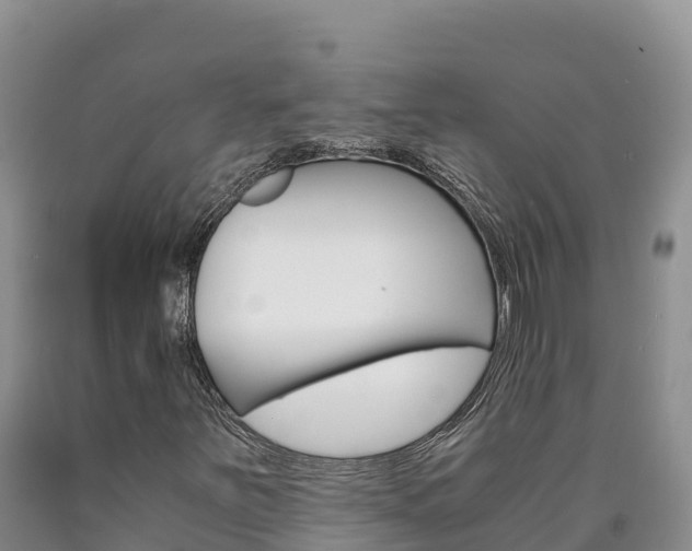 X0000090881251200707271008