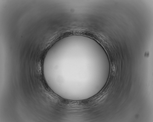 X0000090881252200707271008