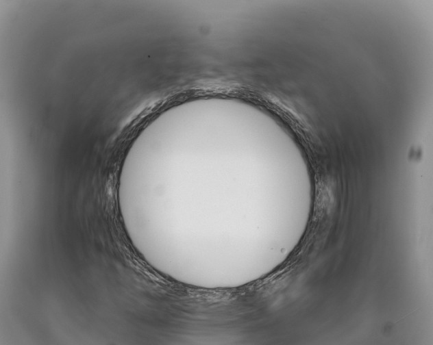 X0000090881254200707271008