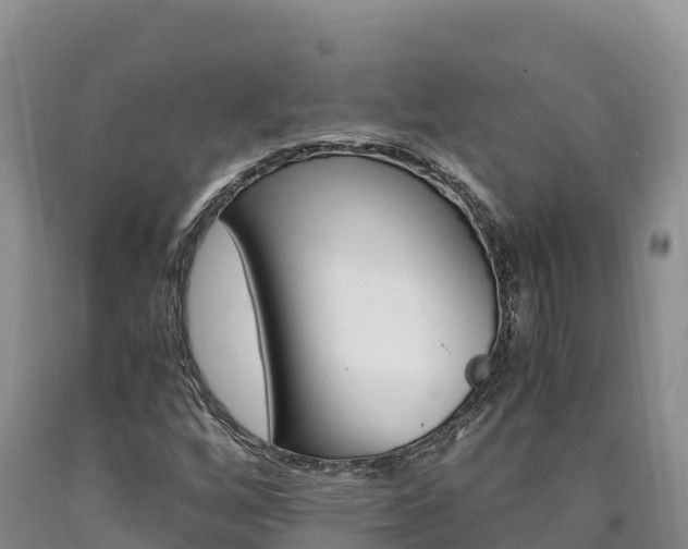 X0000090881256200707271008