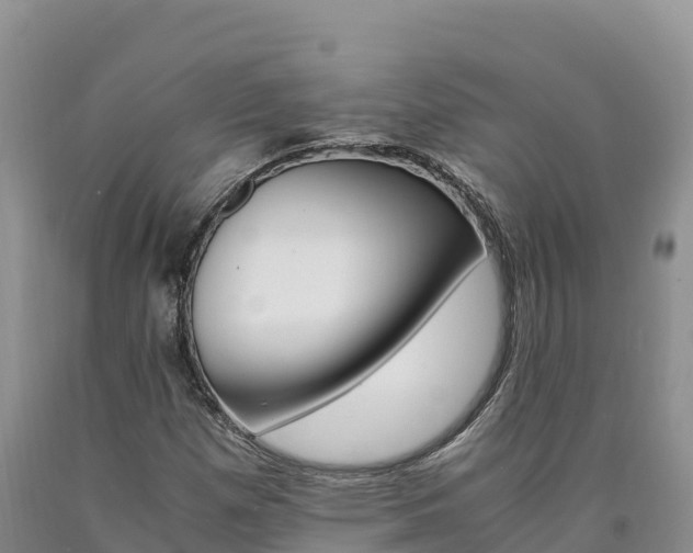 X0000090881257200707271008