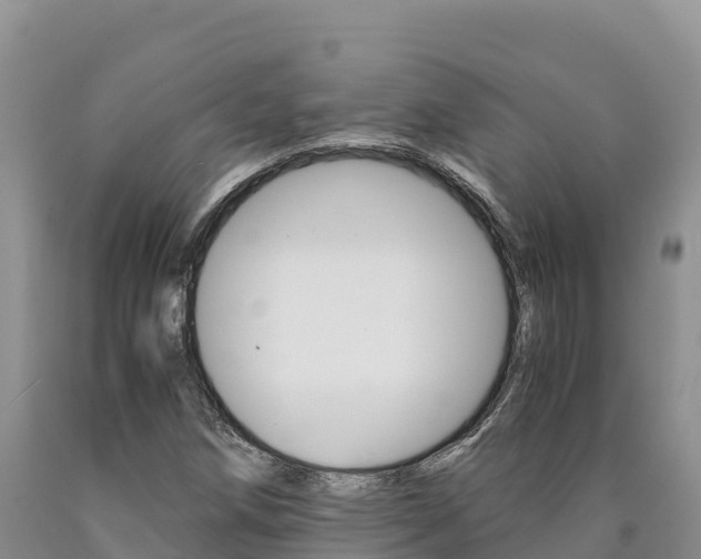 X0000090881258200707271008