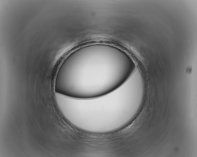 X0000090881261200707271008