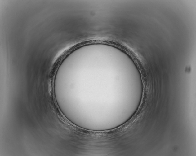 X0000090881262200707271008