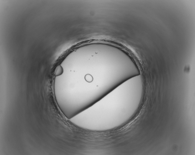 X0000090881263200707271008