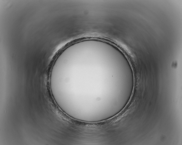 X0000090881264200707271008