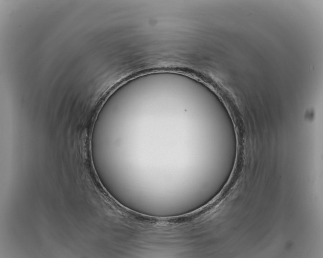 X0000090881265200707271008