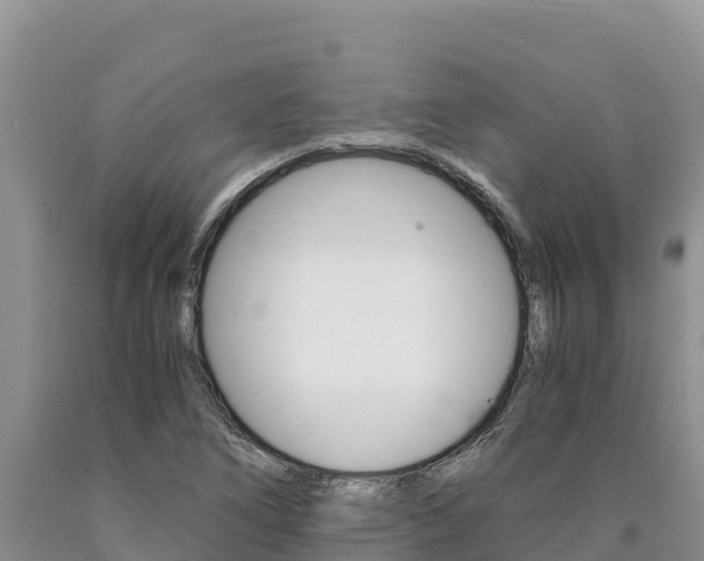 X0000090881266200707271008
