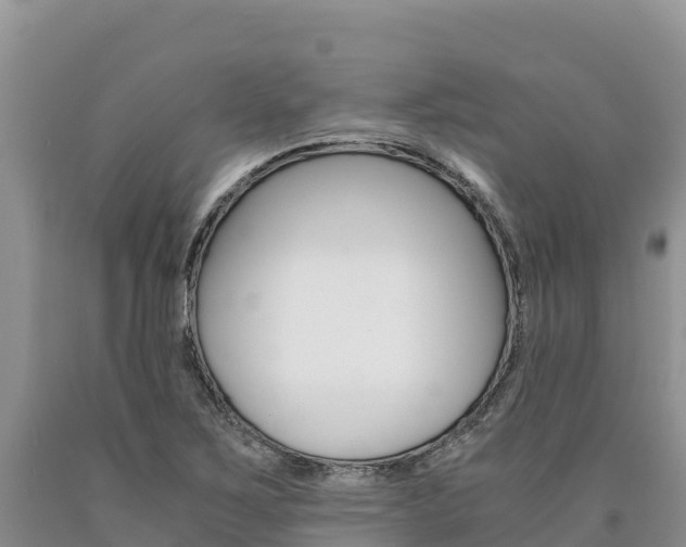 X0000090881267200707271008