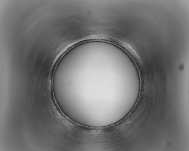 X0000090881268200707271008
