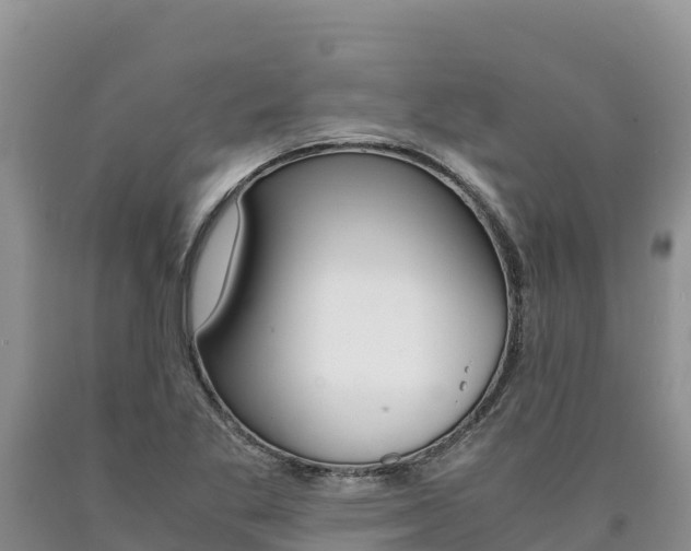 X0000090881269200707271008
