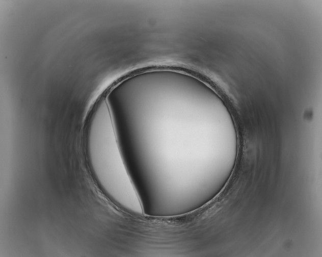 X0000090881270200707271008