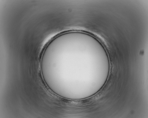 X0000090881271200707271008