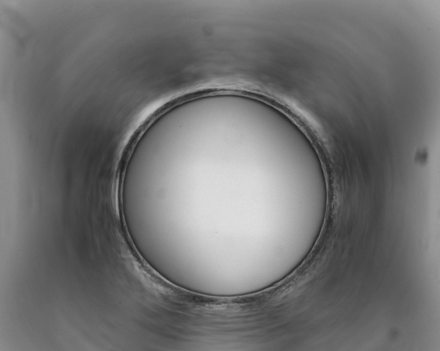 X0000090881272200707271008