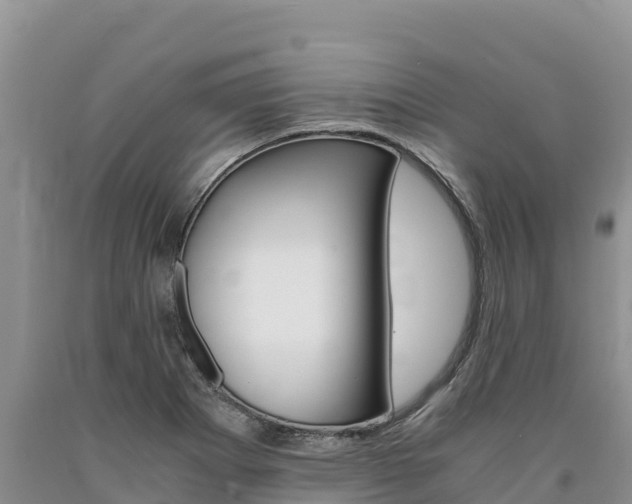 X0000090881273200707271008