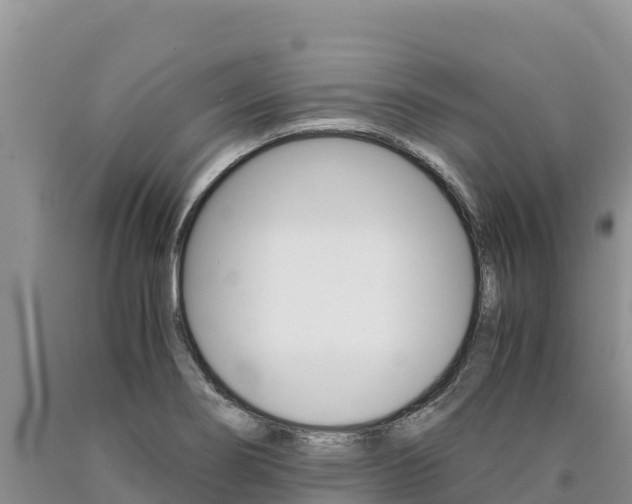 X0000090881274200707271008