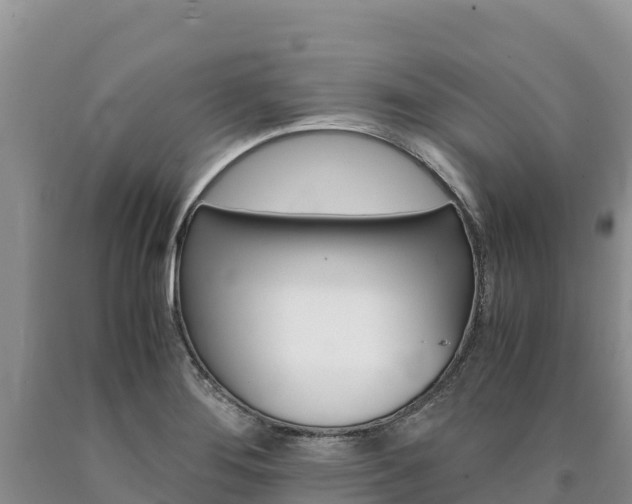 X0000090881276200707271008