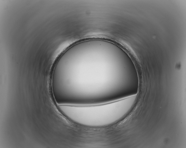 X0000090881277200707271008