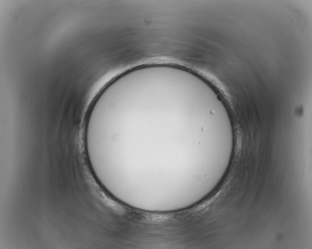 X0000090881278200707271008