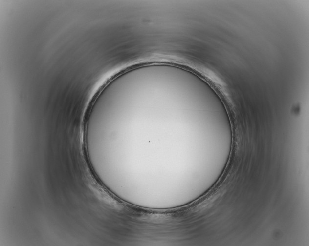 X0000090881280200707271008