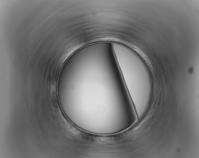 X0000090881281200707271008
