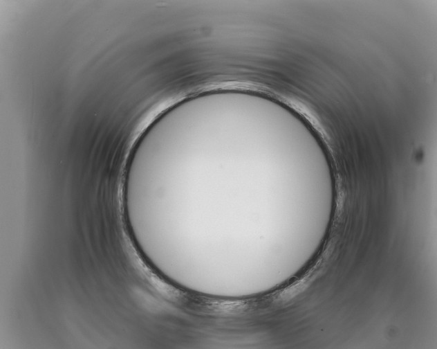 X0000090881282200707271008