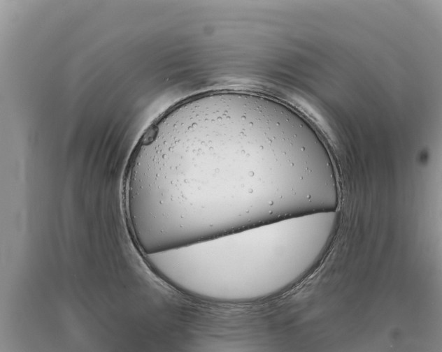 X0000090881283200707271008