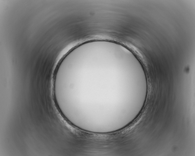 X0000090881286200707271008