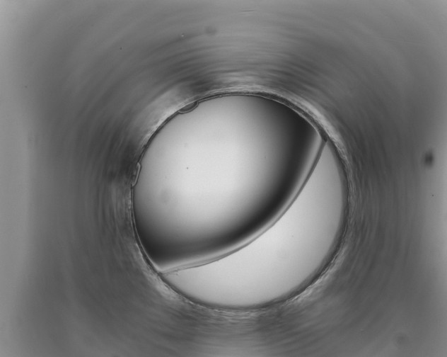 X0000090881289200707271008