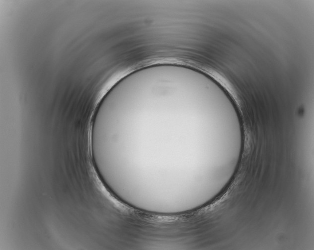 X0000090881290200707271008