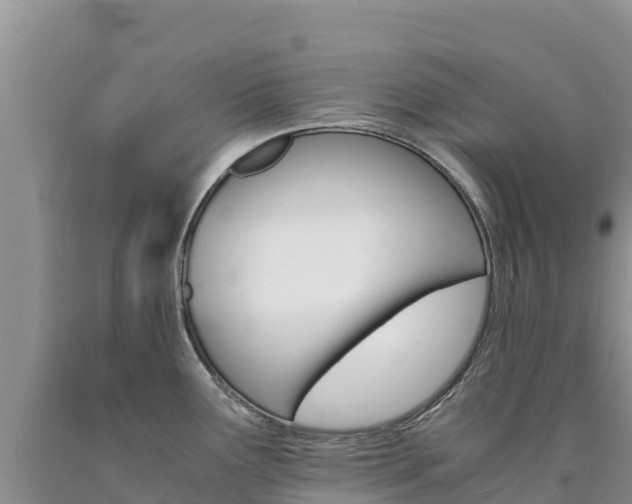X0000090881291200707271008