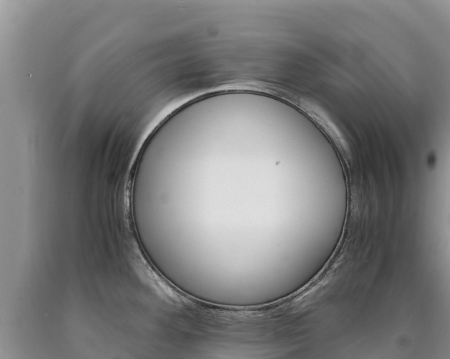 X0000090881292200707271008